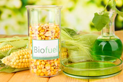 Catterick biofuel availability